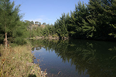 April 2005, pristine trout conditions, and yes
they were here. April 2005, pristine
trout conditions, and yes they were here.