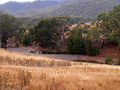 Plenty of puddles of water, just no real
connection between them. Plenty of puddles
of water, just no real connection between them.