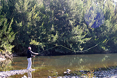Casting a fly into trout water! Casting a fly into
trout water!