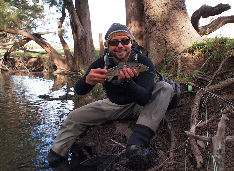 Averagely sized Fish River 
brown